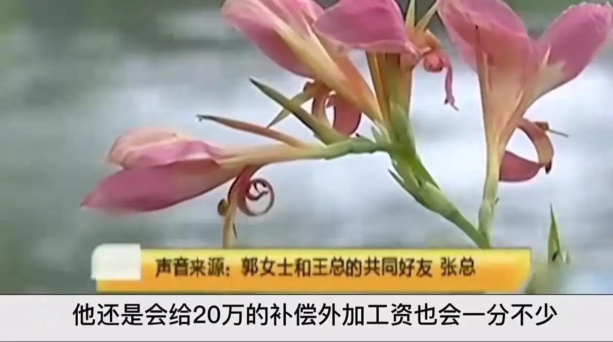 女秘书被老板搞大肚子,本以为可以借此上位,让老板和老板娘离婚。可万万没想到,老板