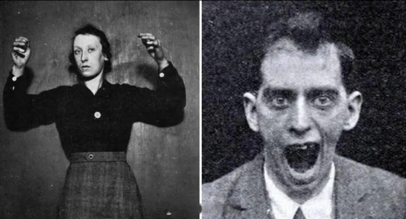 “嗜睡性脑炎仍然是二十世纪最令人费解的医学谜团之一，这种疾病席卷全球，然后又像出