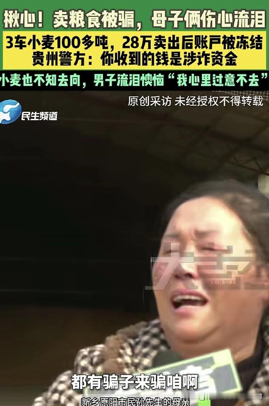 河南新乡一对母子卖粮时遭遇骗局,三车总计100多吨的小麦售出后,他们账户里的28