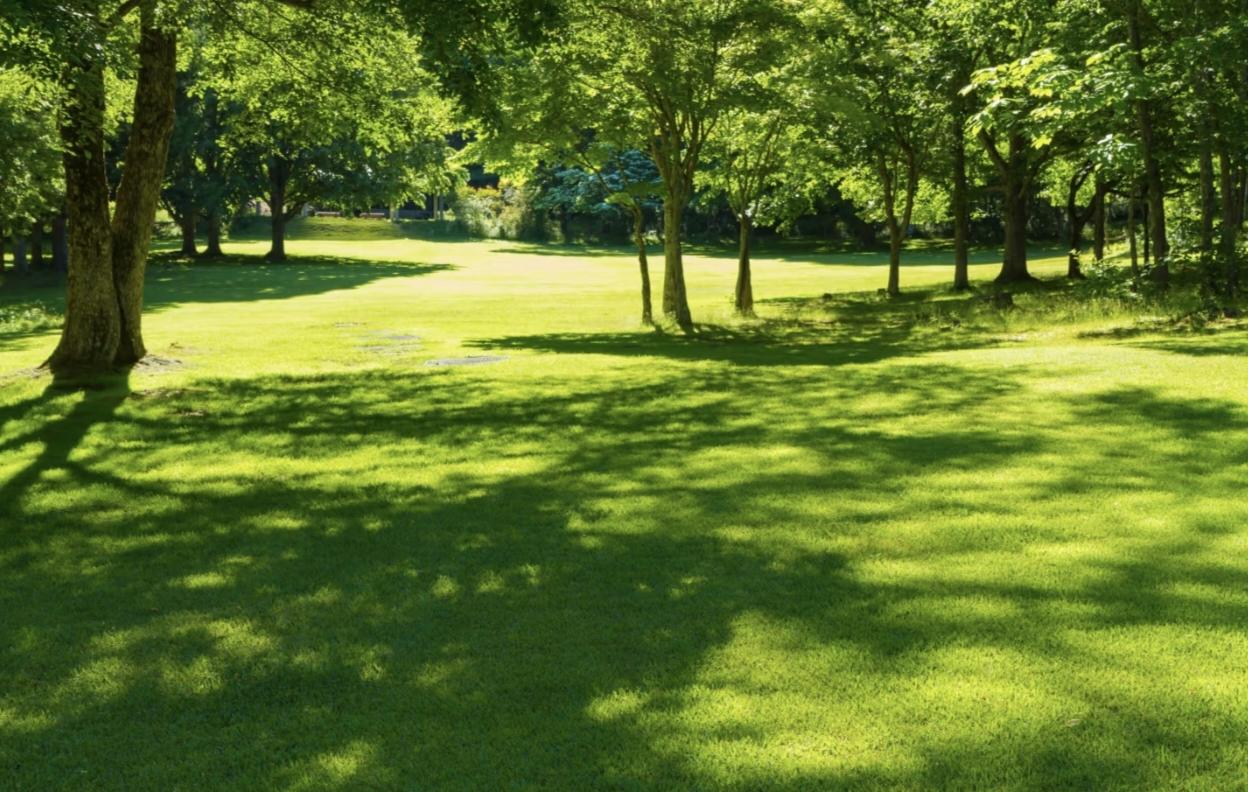 我儿子网贷了20多万当没事一样手机号码换了微信支付宝停了，追债电话打到我电话上，