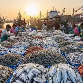 我擦…真的假的？恒河水产吗