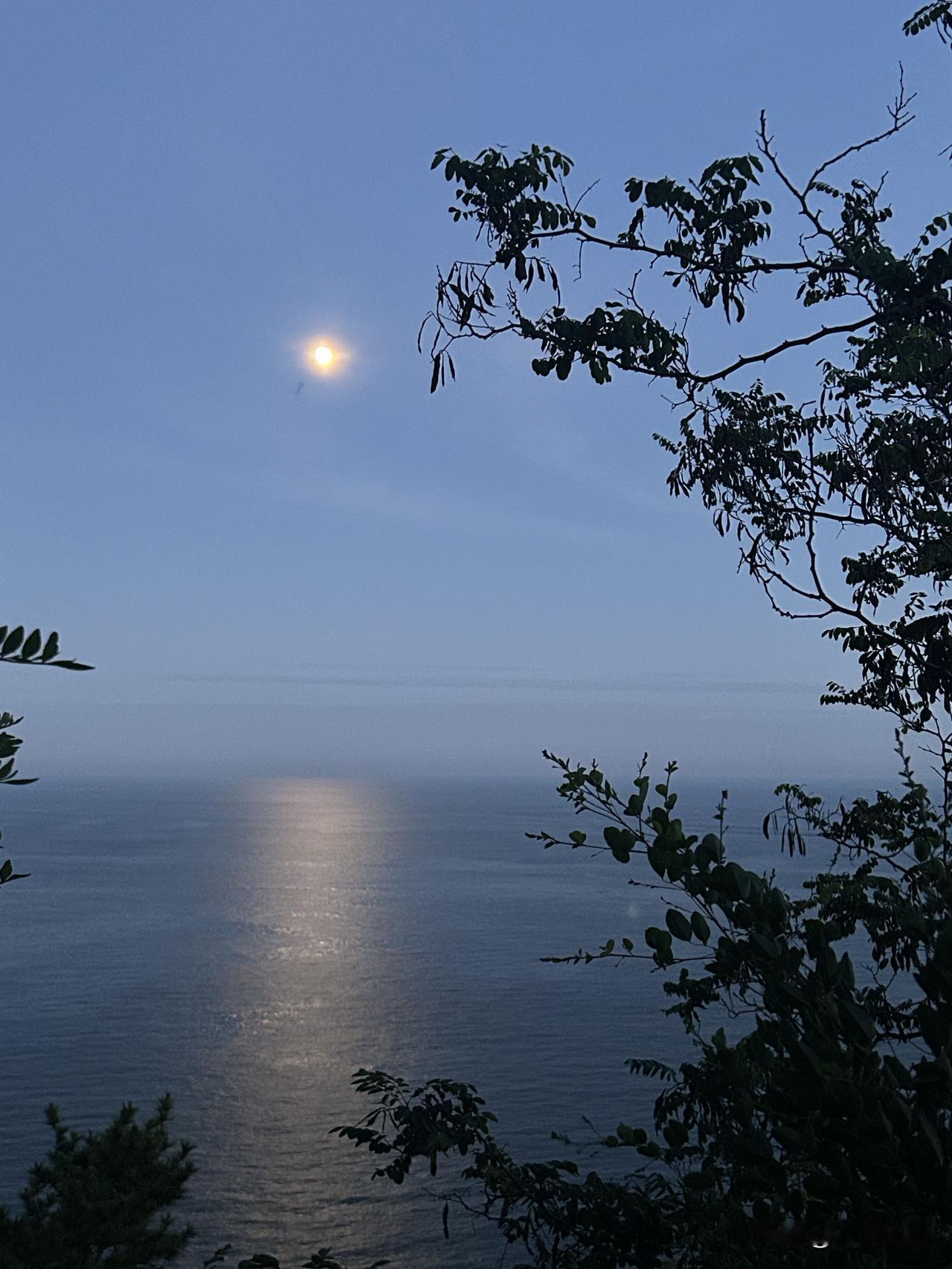 你有没有见过那种让人恨得牙痒痒的中层？明明自己没啥大本事，却天天摆着官架子，把下