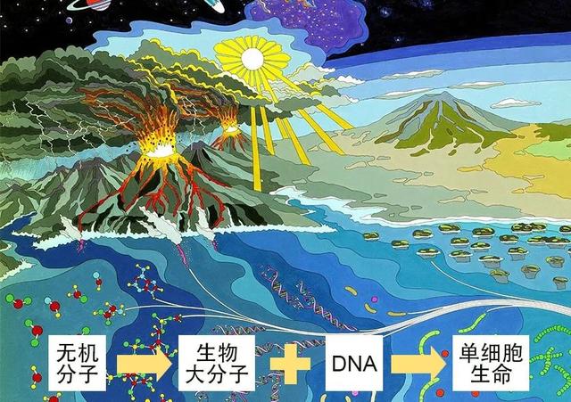 别上当! 实验早已证实生命根本不能自然产生