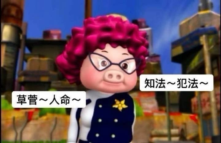 随机调查下，这两张图你更喜欢哪张？喜欢1的扣1，喜欢2的扣2​​​