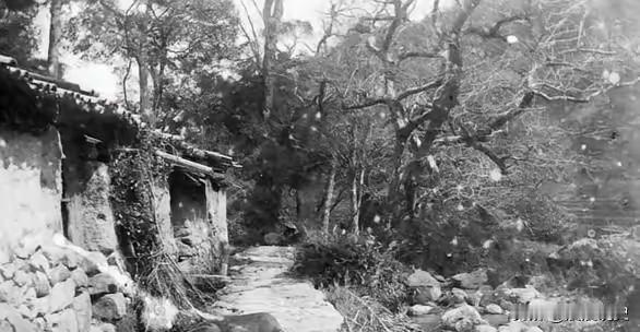 孤胆英雄陈洪远：跌落悬崖，单枪匹马端掉敌指挥部1984年，一名解放军战士不