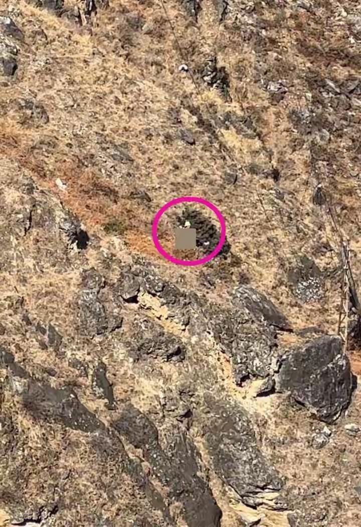 虎跳峡断魂崖边1米窄路吞噬8岁童！父亲痛哭奶奶瘫软，未开放禁区夺命细节全曝光