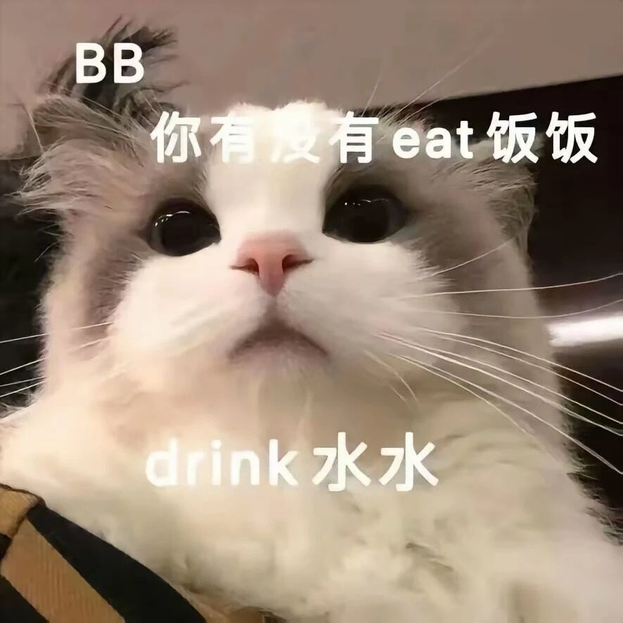 我猫咪大人可记仇了​​​