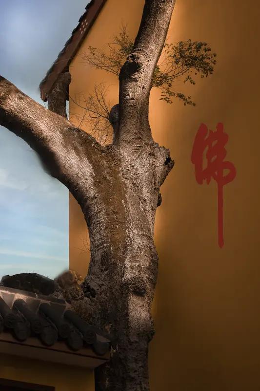 炒股票最怕什么？不怕低位整理；不怕底部横盘；