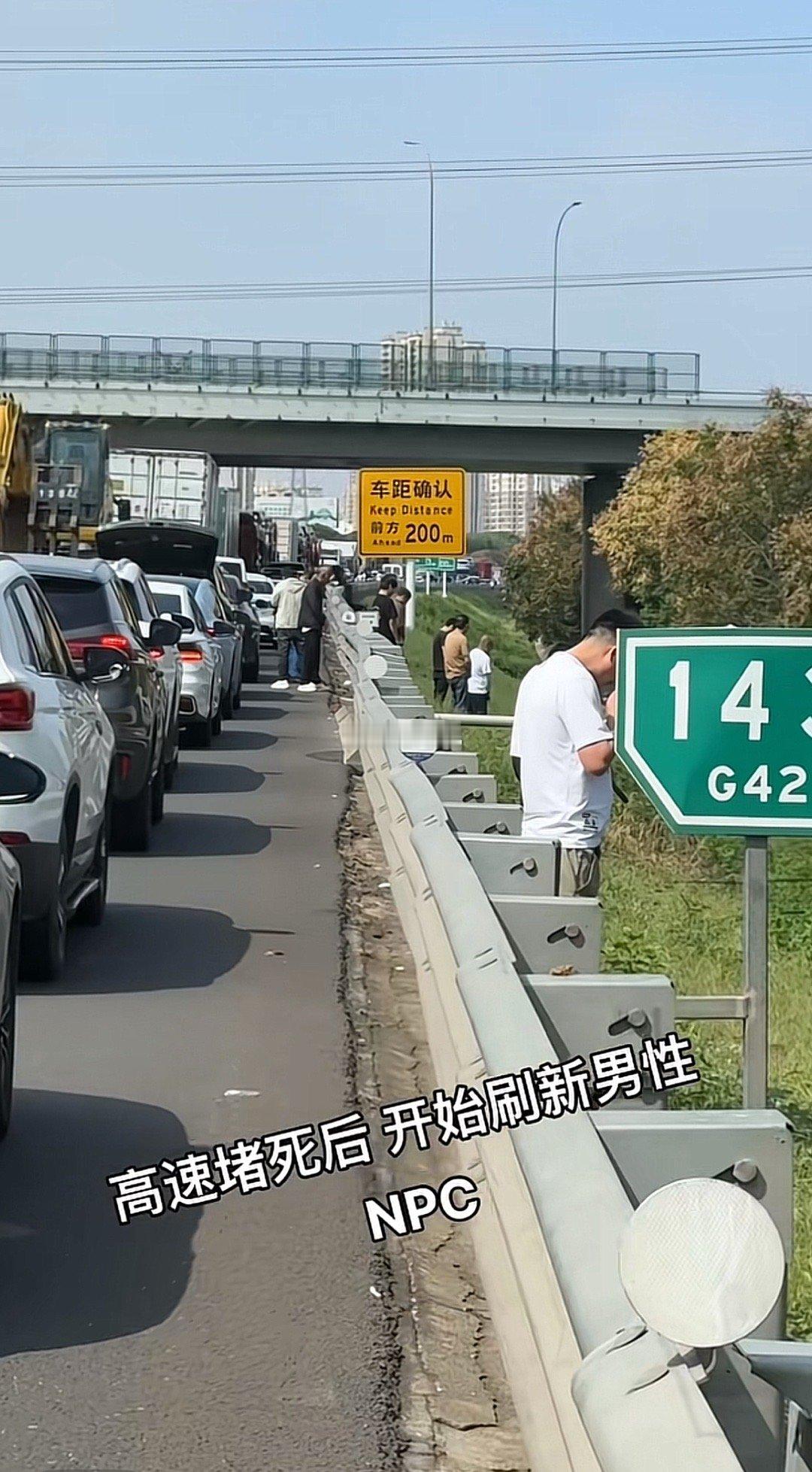 猫尿了知道埋起来狗还会找个树底下尿​​​