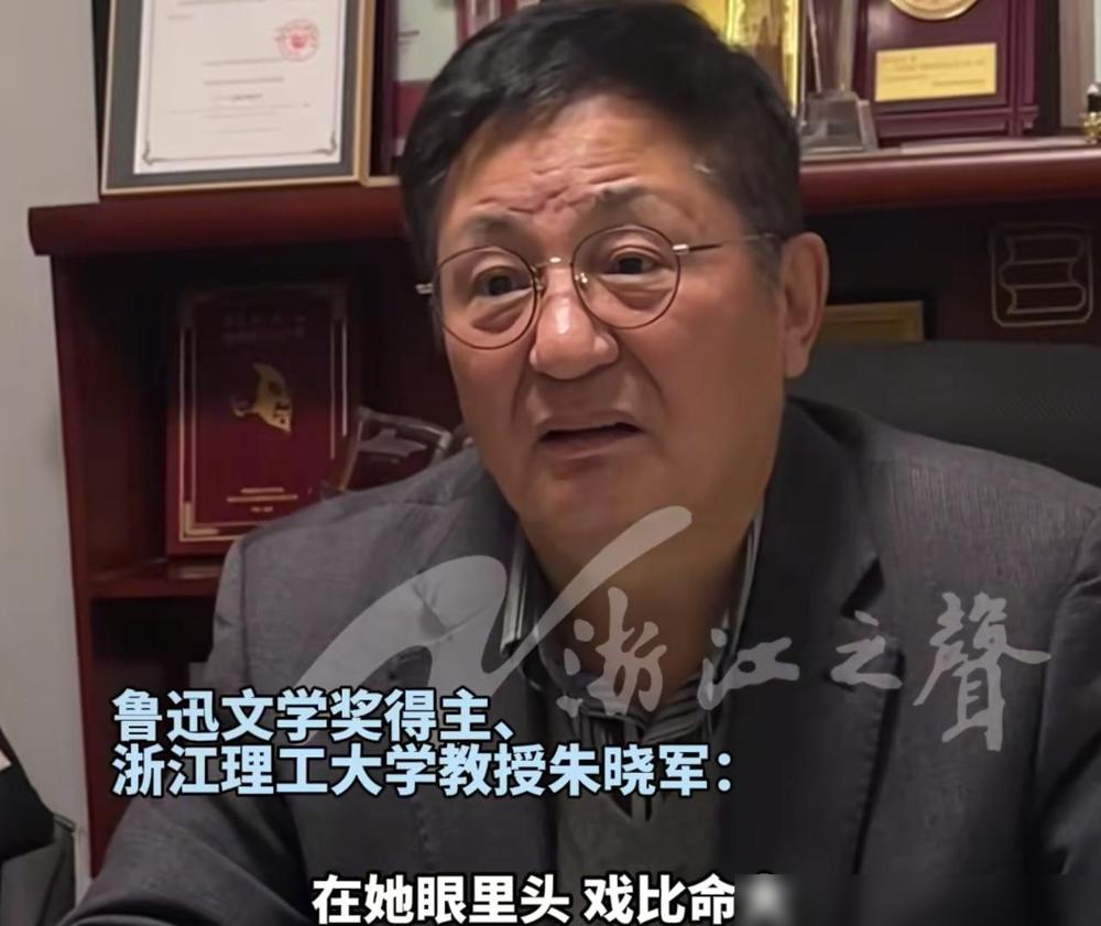 《小城大事》原著作者朱晓军说：“朱媛媛出场的时候，我的眼泪都要留下来了，就是坐摩