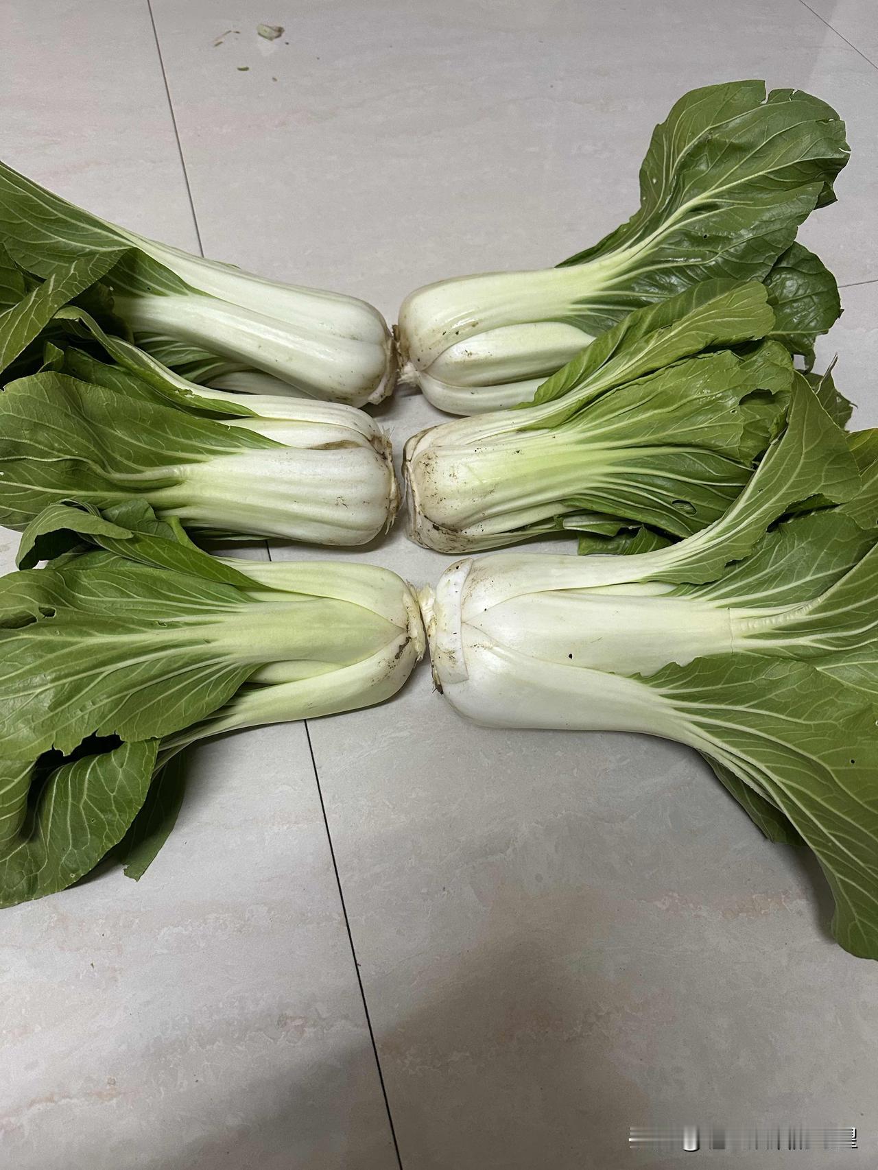 全网的白菜叶子我来六棵大白菜这白菜来自老家是真正的土白菜新鲜的连泥土都没