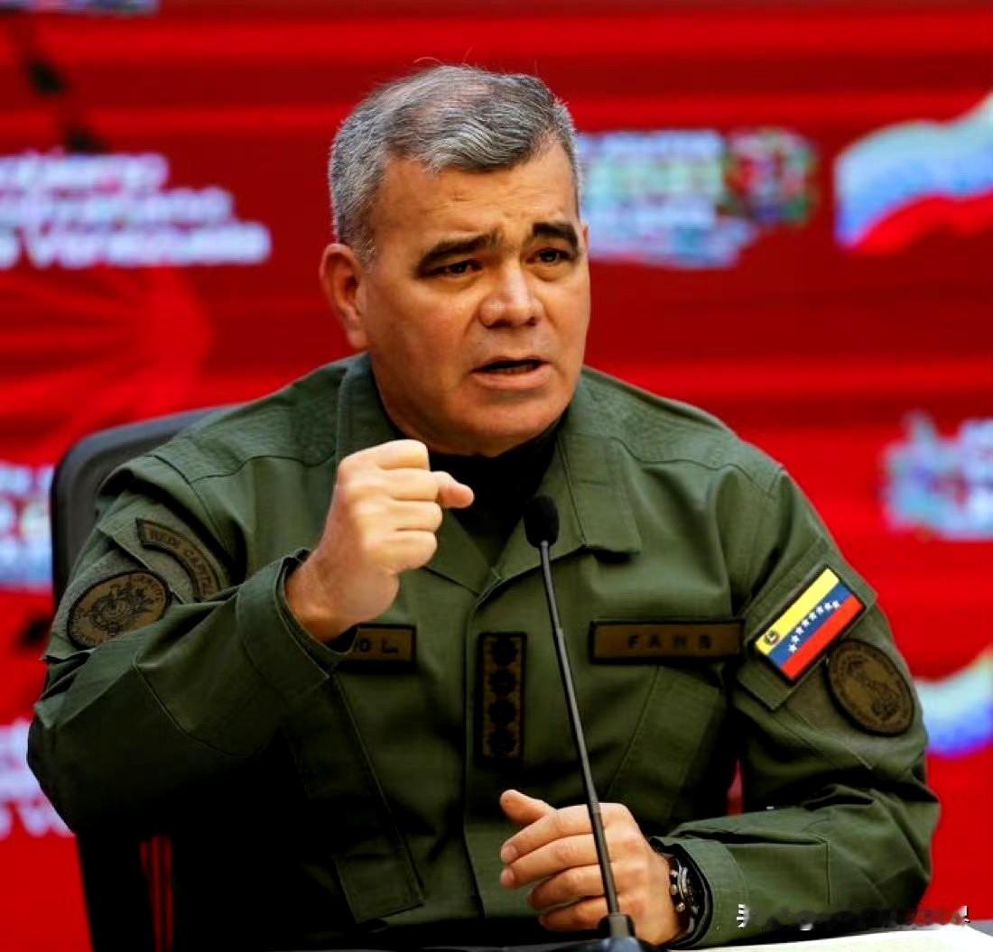 有消息称，美军成功暗杀了委内瑞拉国防部长弗拉基米尔·帕德里诺·洛佩斯。但愿这
