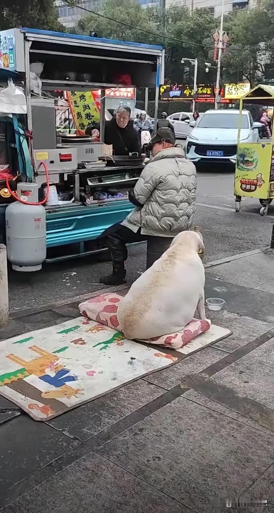 大哥是做小吃的，看起来狗子平时没少吃剩饭啊[呲牙笑]