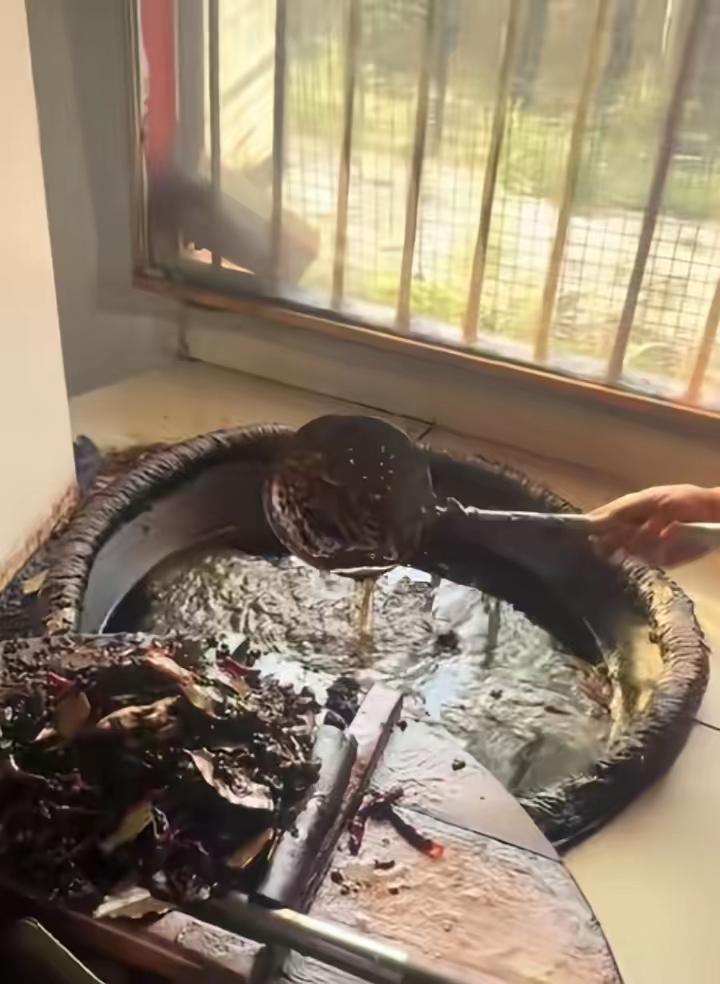 这就是七万卤菜店里号称40多年的老卤，光看颜色就觉得反胃。现在有的人真怪，干净的
