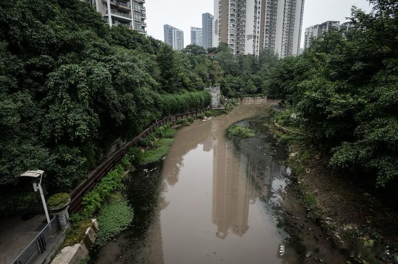 以后国内住房自有率铁定是越来越低的。不光是房地产税、物业费，还有这个房子的日常