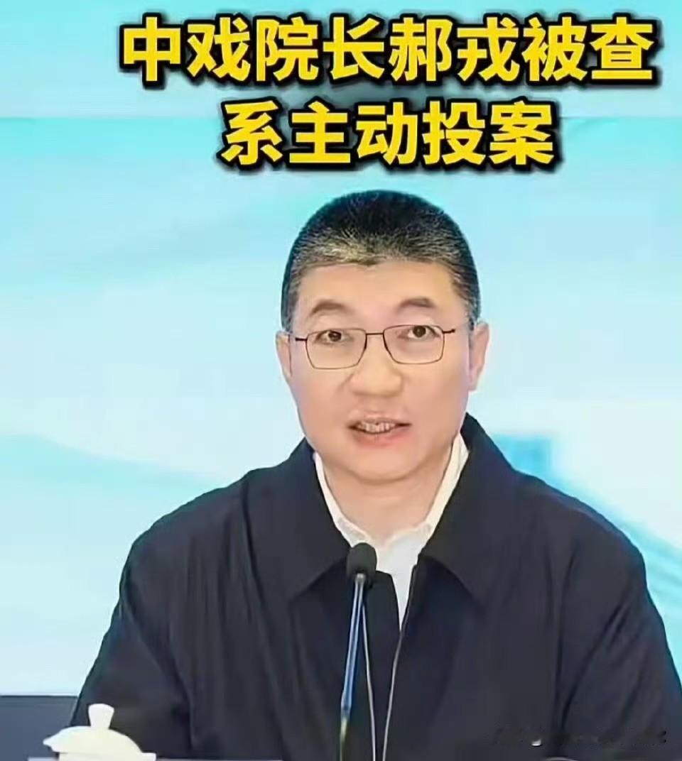 前几天，有报道说中戏院长郝戎主动投案，消息一出，圈里一下热闹起来，不少人开始回溯