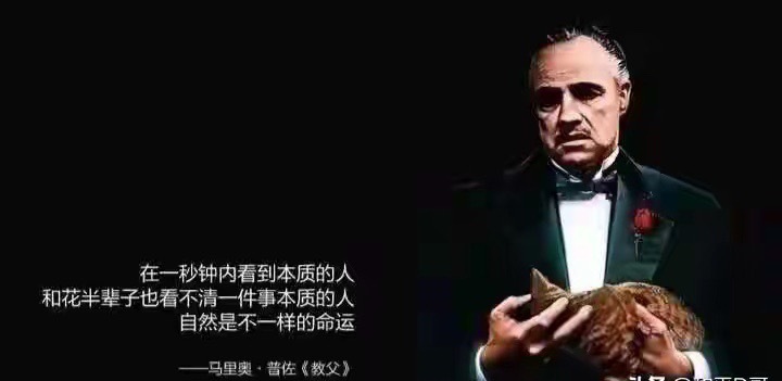 18倍茅台vs7倍格力：低价性价比与顶级优质股，谁才是真正的投资王者？当下A