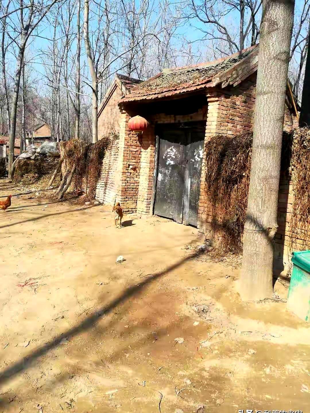 说实话，爱和生理需求哪个更重要？咱小时候在村里见得多了，哪个村都有条件差的汉子