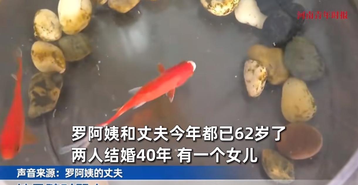 “这下后悔了吧！”1985年，重庆，老周用一辆永久牌自行车，将梳着麻花辫