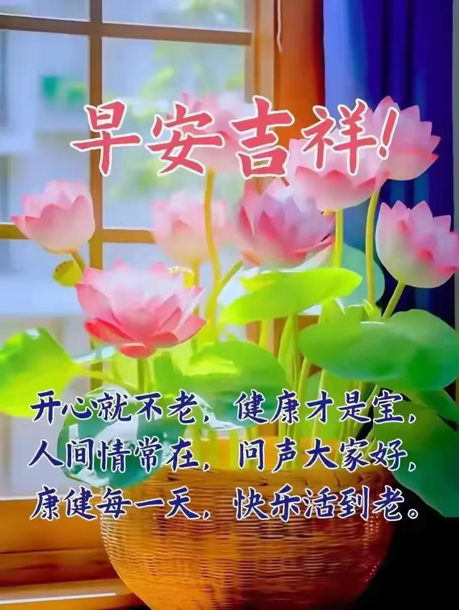 早安呀～☀️新的一天从温柔的阳光里醒来，愿清风捎去暖意，好运常伴左右，事事