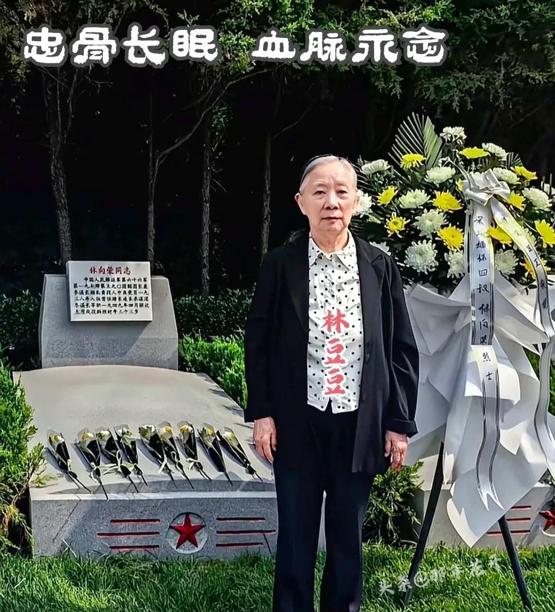 2026年6月24日，石家庄华北军区烈士陵园里，82岁的林豆豆拄着拐杖，在一众亲