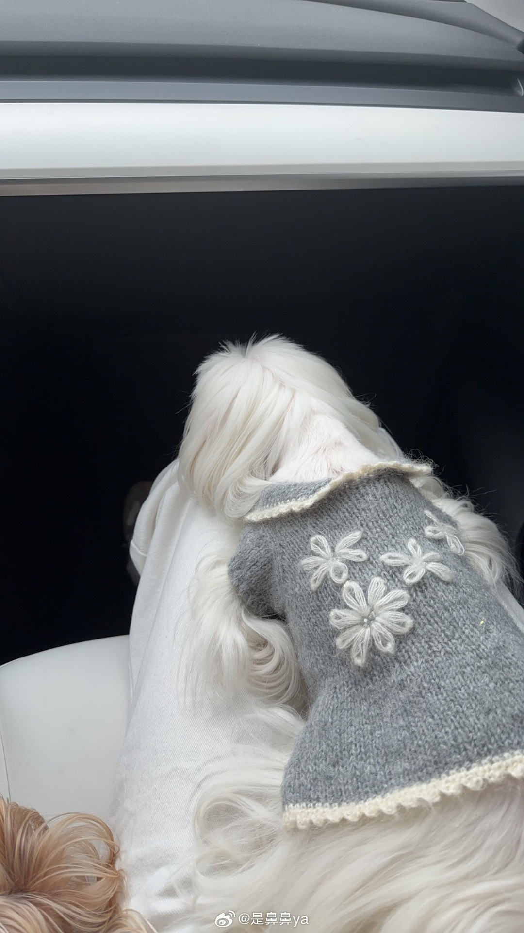 宅够了要好好上班了💼