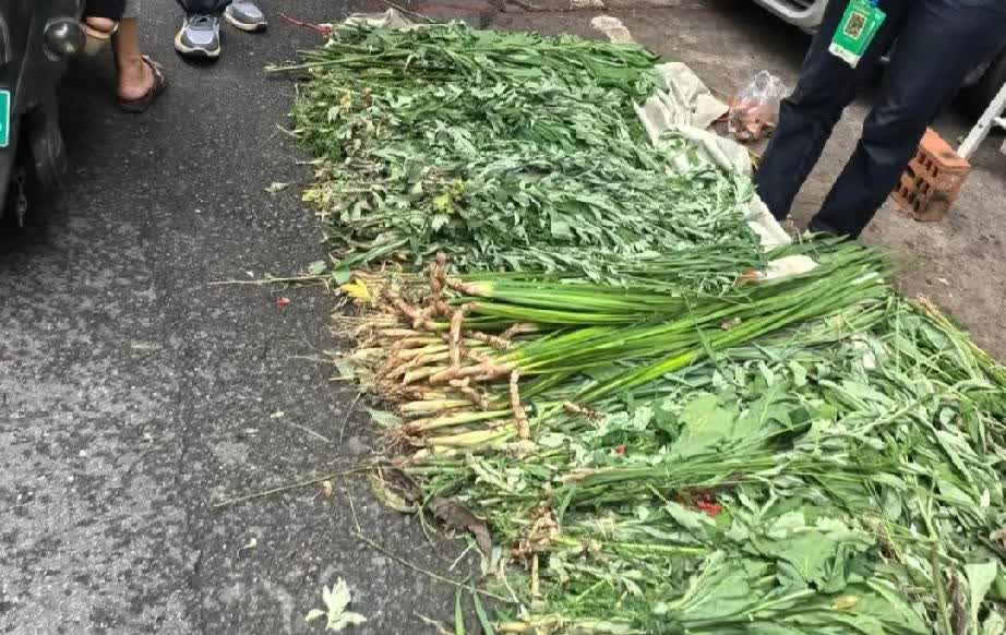 疯了？今天出门发现最好卖的不是粽子，而是这样不知名的草，卖的老贵了，2元一条，5