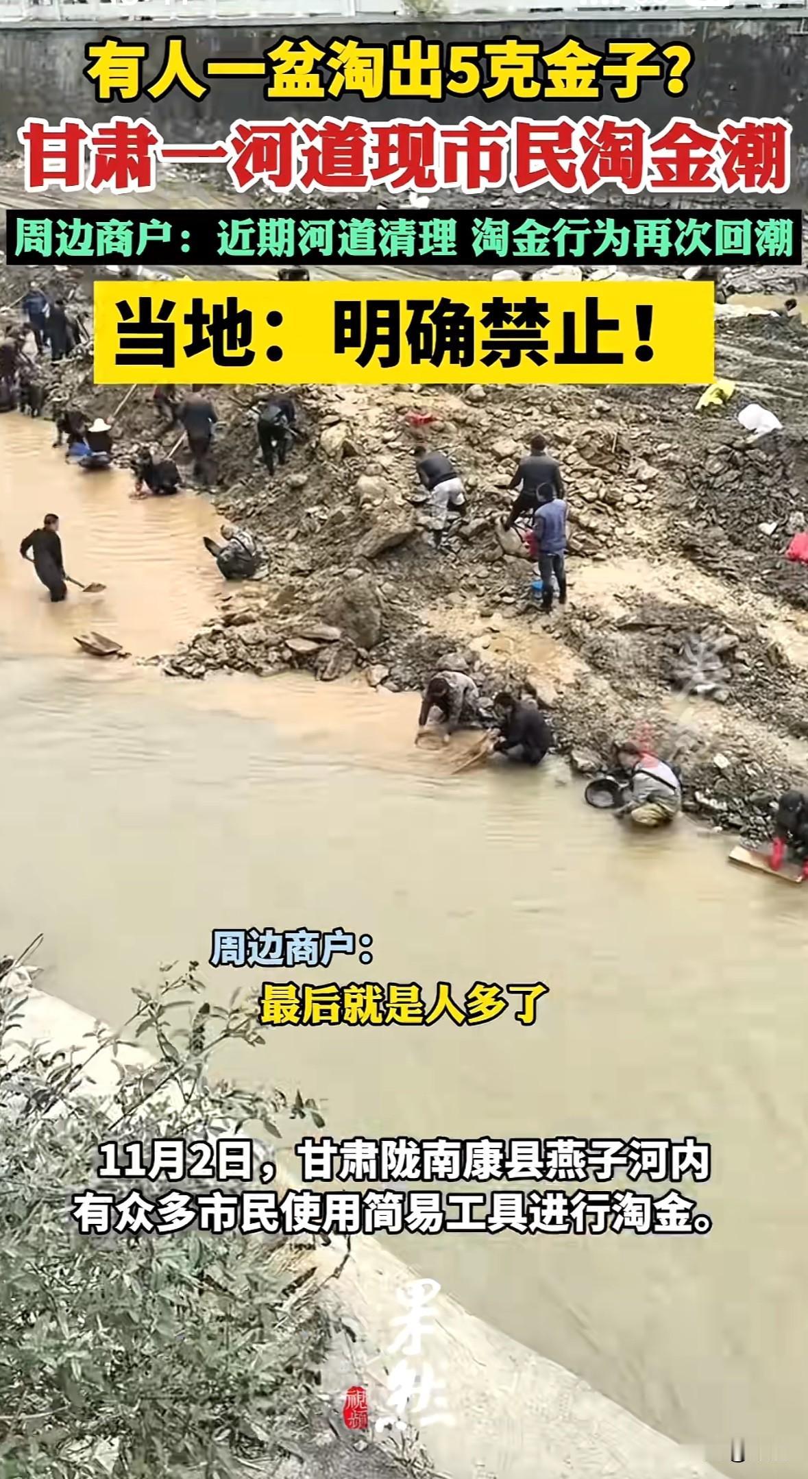 11月2日，甘肃陇南康县燕子河不少市民扎堆淘金。凌晨1点气温4℃，还有人站在冷水