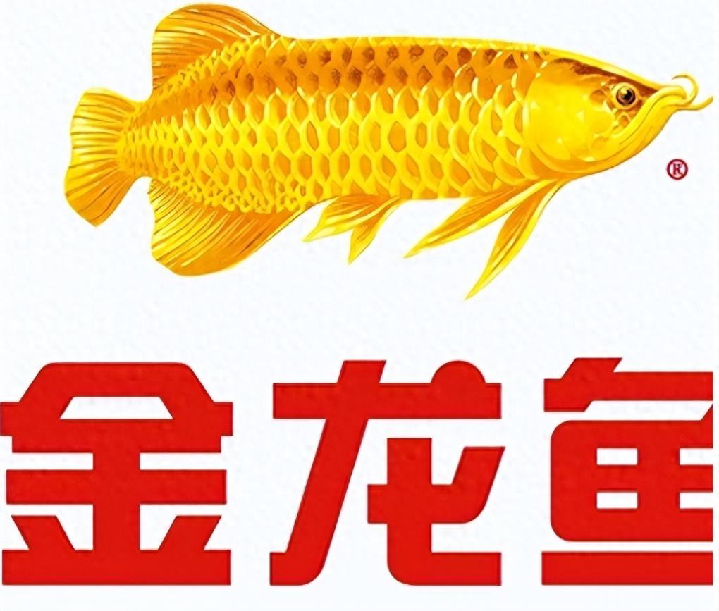 信号越来越明显！新加坡总理公开支持高市后，金龙鱼凉得更快了2025年11月，