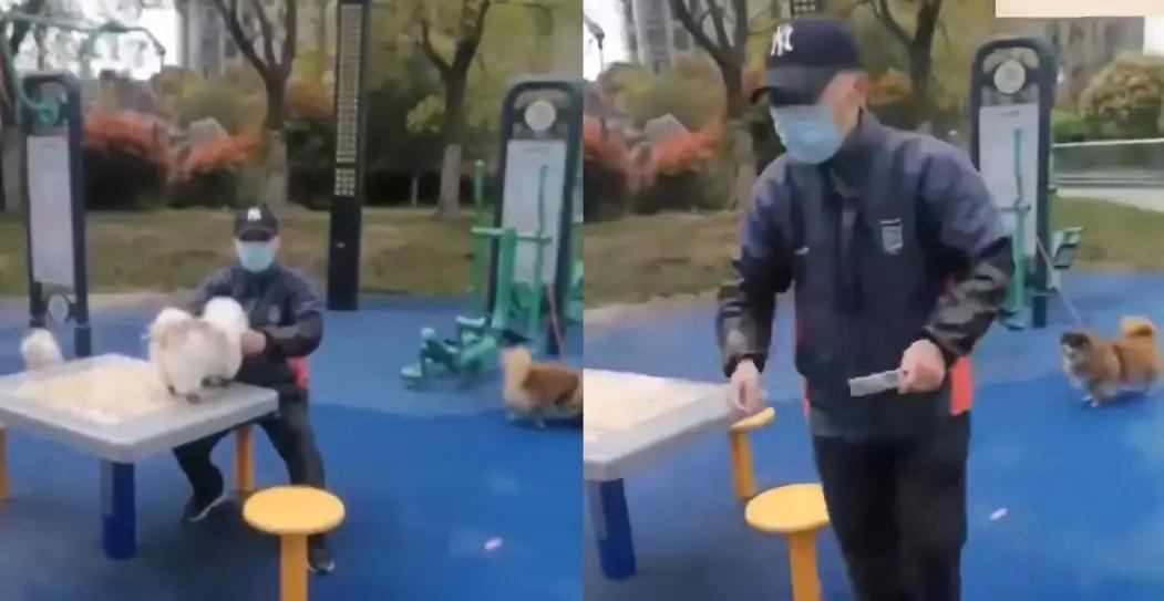 安徽，一位大妈去公园溜达，看到一位大爷在健身场所给狗梳毛，女子越看越觉得不妥，当