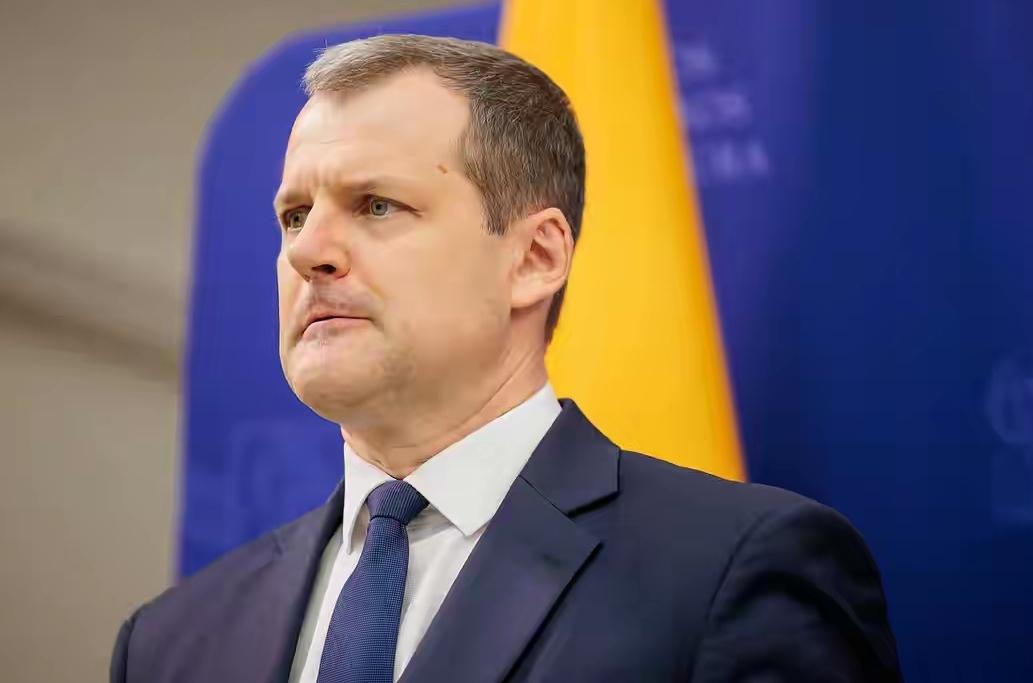 立陶宛最近急得像热锅上的蚂蚁——给中国递了半年“和好信”，连个回音都没捞着。可您