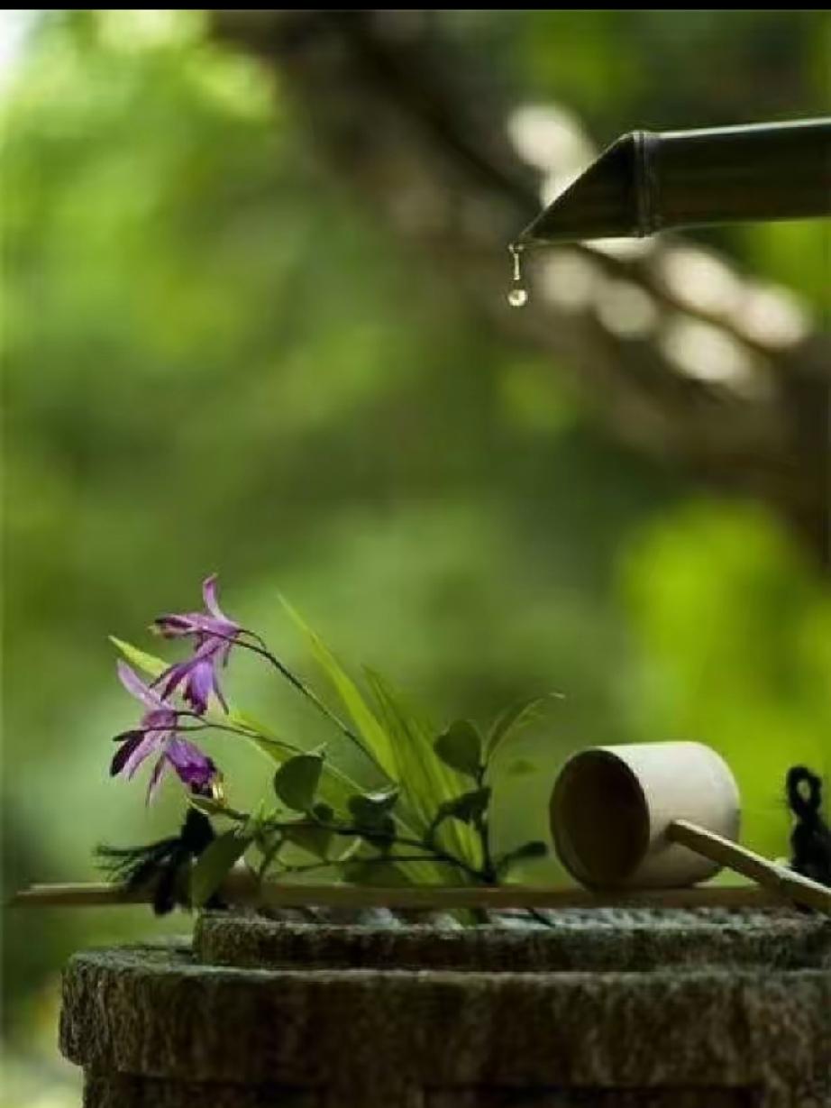 我慢慢发现一个很通透的真相：一个人内心稳不稳、强不强，看一点就够了——会不会被别