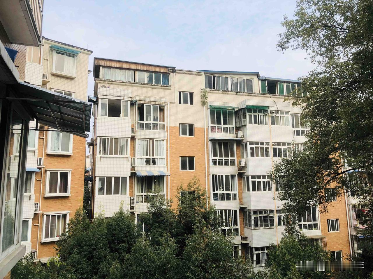 我发现，四川人是真的不怕冷。此时此刻气温6度，天气灰蒙蒙的，我看了一下，有人