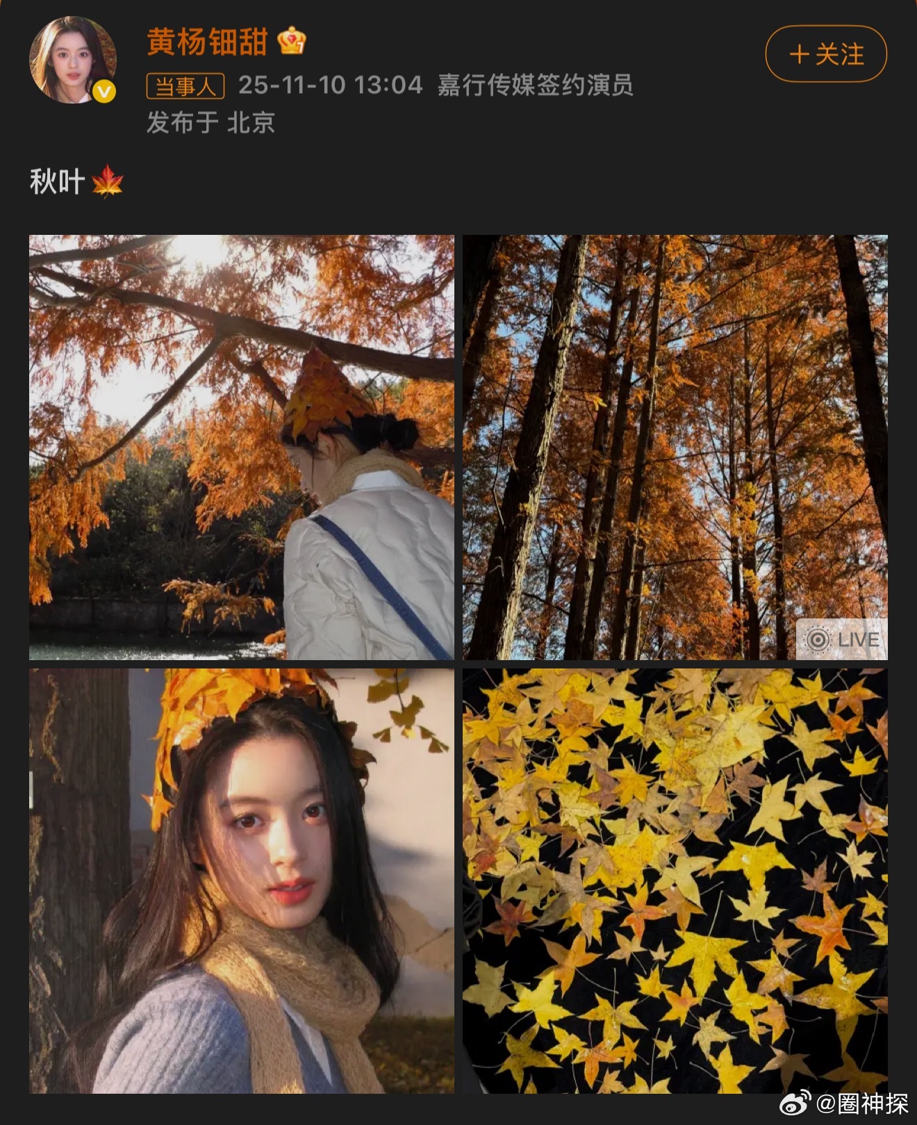 黄杨钿甜更新动态突然更新🍁​​​