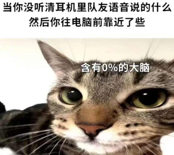 最近一些比较喜欢的meme