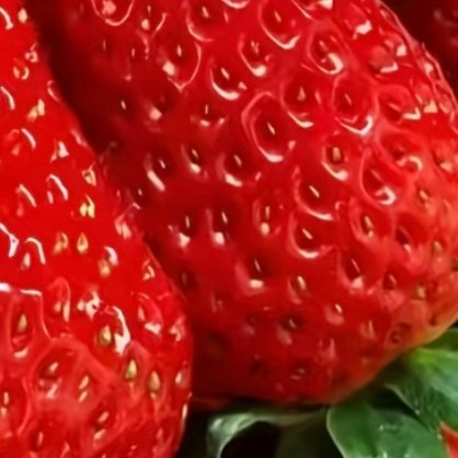 草莓种植种植1. 栽种时间大部分地区最佳种植时间：10–12月新手推荐品种：