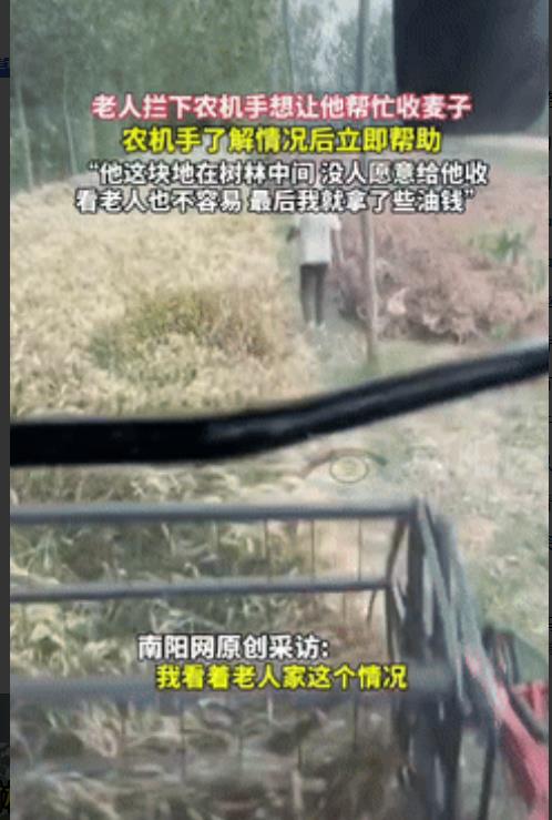“活该他发财！”江苏老人在路边拦下农机手，恳求对方帮忙收下麦子，全村就剩他一户没