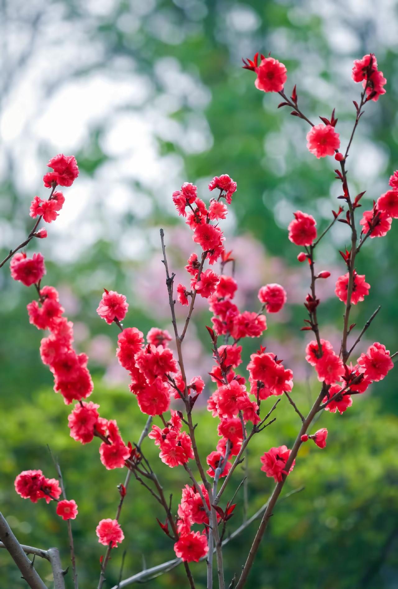 一碗热汤，暖尽半生风霜年轻时总以为风光在远方于是拼命奔跑，用力逞强把