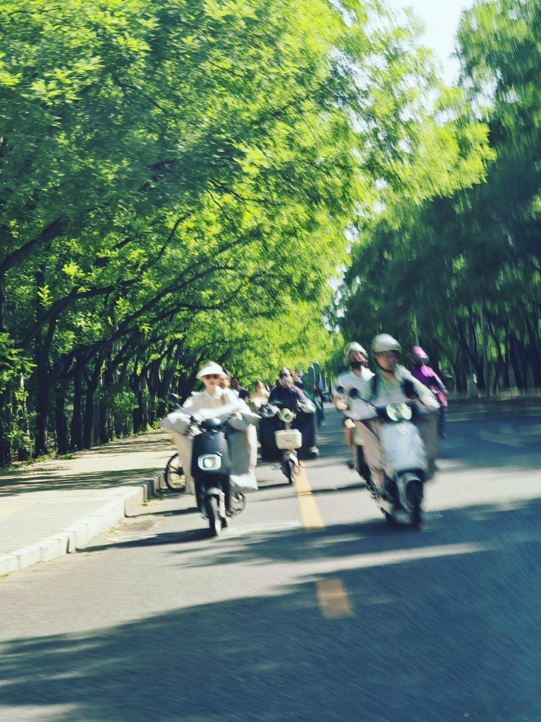 北京这电驴情况也挺吓人的，比深圳强的是有非机动车道，但流量太大了非机动车道走不下