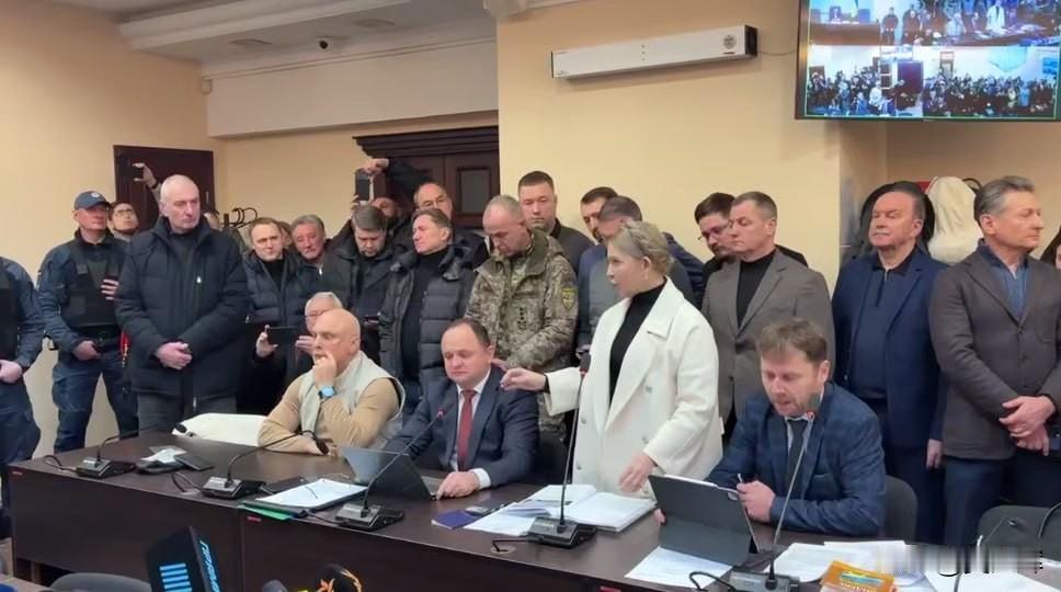 “法官大人，那是一笔钱，几千格里夫纳，是用来买咖啡、茶和饼干的。”季莫申科