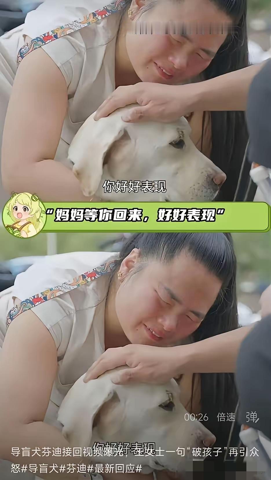 有个在大连导盲犬基地做过志愿者的朋友告诉我：​其实导盲犬真不是谁想用就能用的，