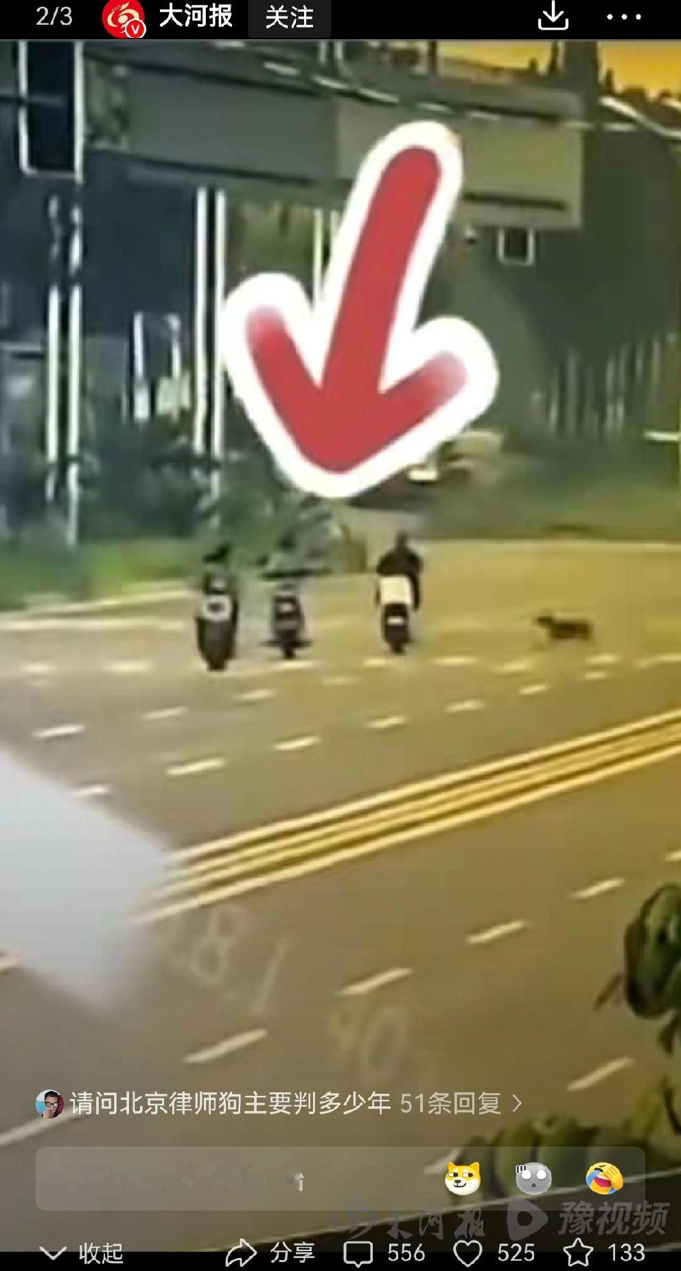 只因下班路上被大狗撞倒，谁也想不到一个五口之家就因为这场意外短短几个月就能家破人