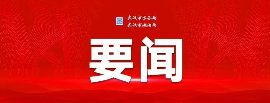 武汉，这次真的动真格了！不是喊口号，是把未来五年怎么活、怎么富、怎么强，一次
