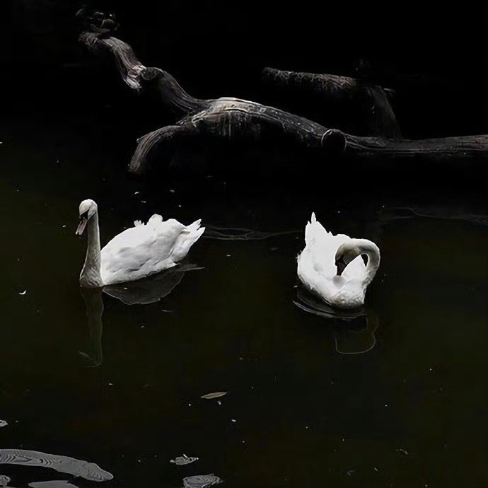 教养是人外在的那个自己，修养是人内在的那个自己，以教养待人，以修养待己。——《半