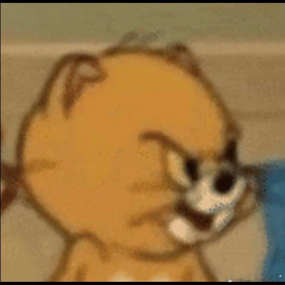小猫表情包。