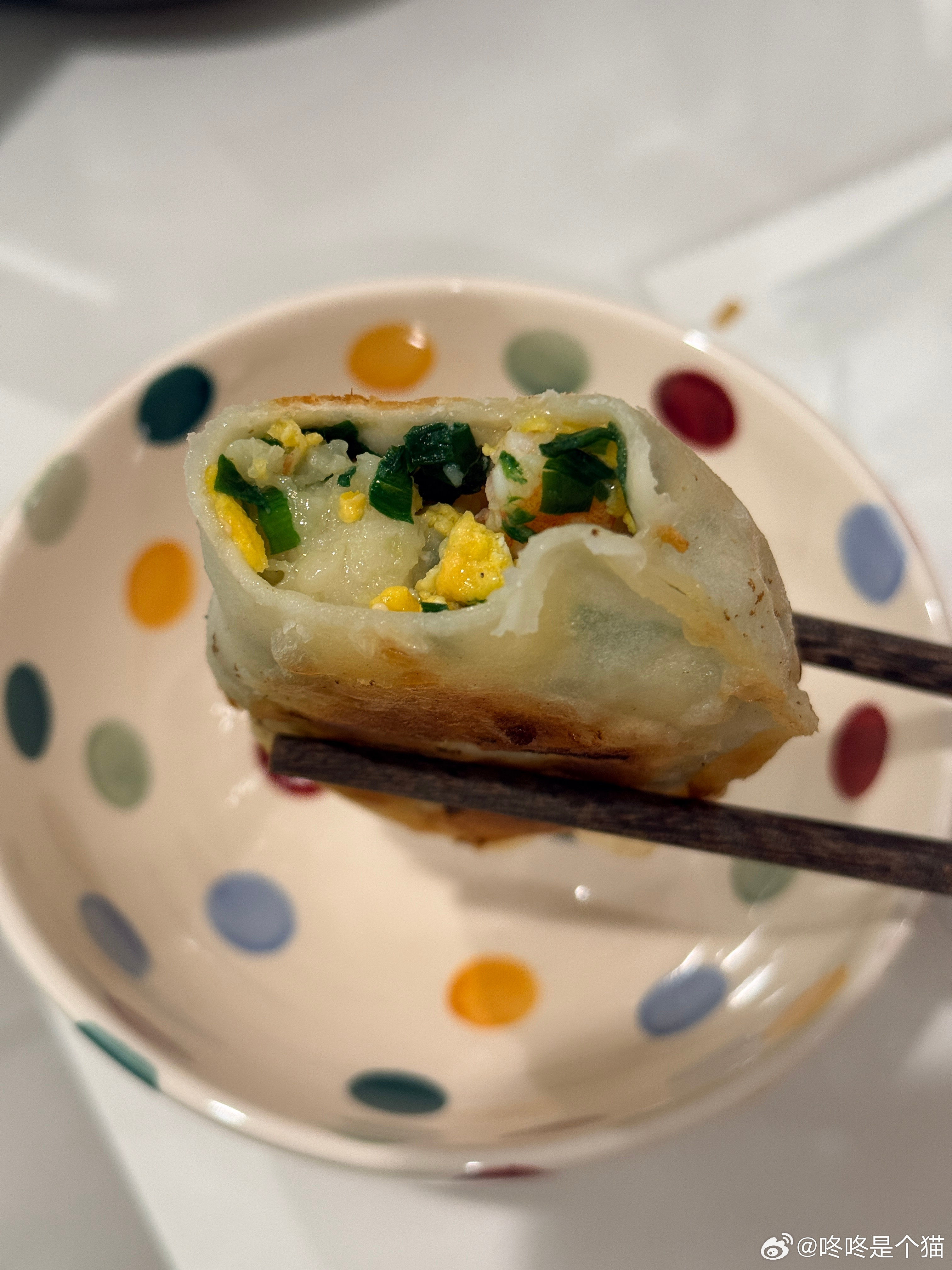 如果你学会了包饺子，那么你就解锁了韭菜盒子，锅贴，烧卖，馄饨，馅饼，taco，生