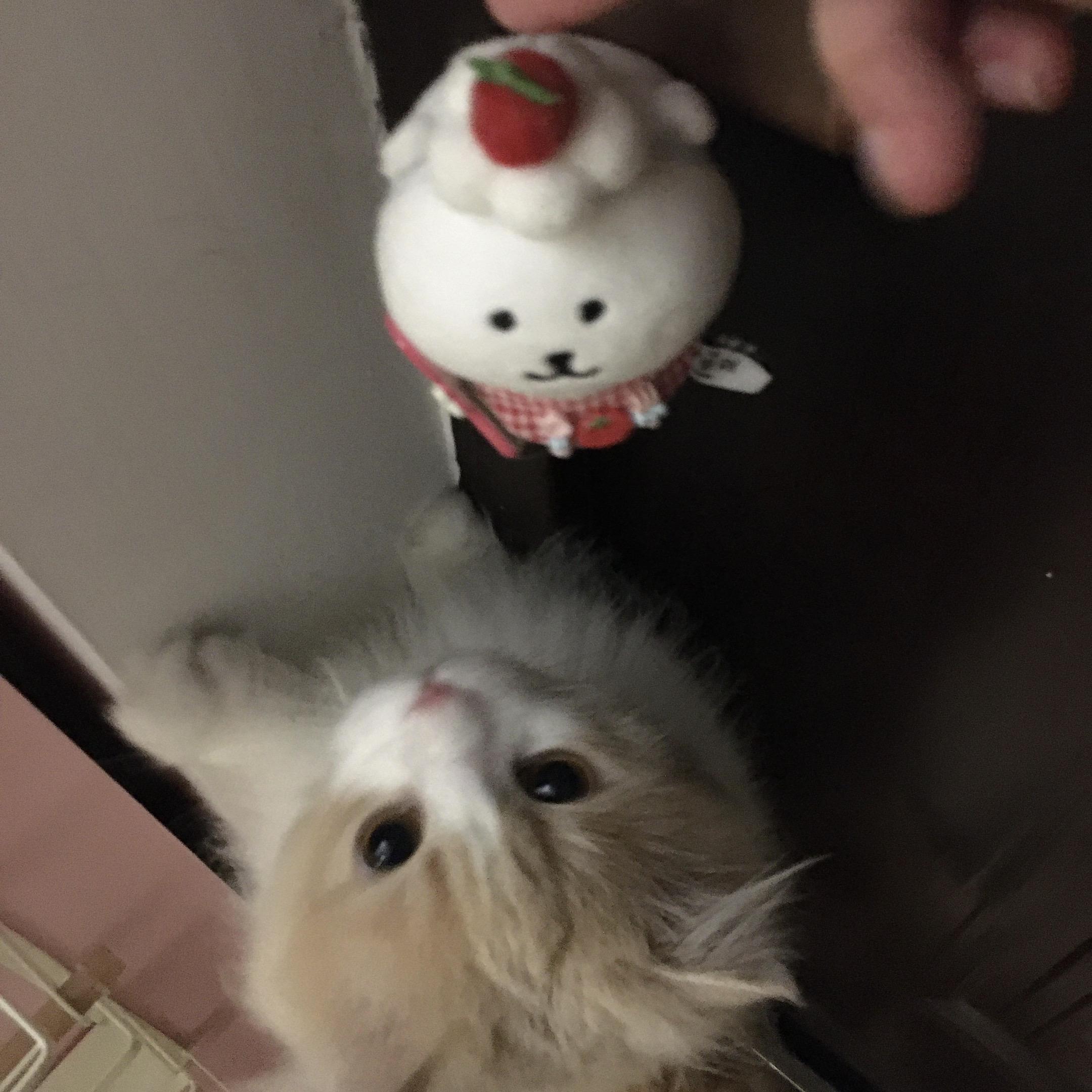 你懂我的眼泪