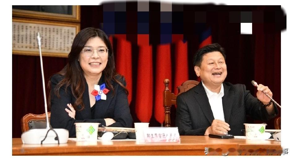 郑丽文拜访国民党“立法院”党团！见谢龙介等人宣示2026赢回南台湾！今天，新当