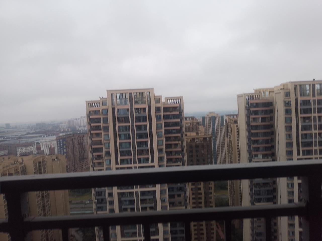 感觉成都已过渡到了入冬的节奏，尤其感到天气格外的寒冷了，昨日霜降下了一整天的雨