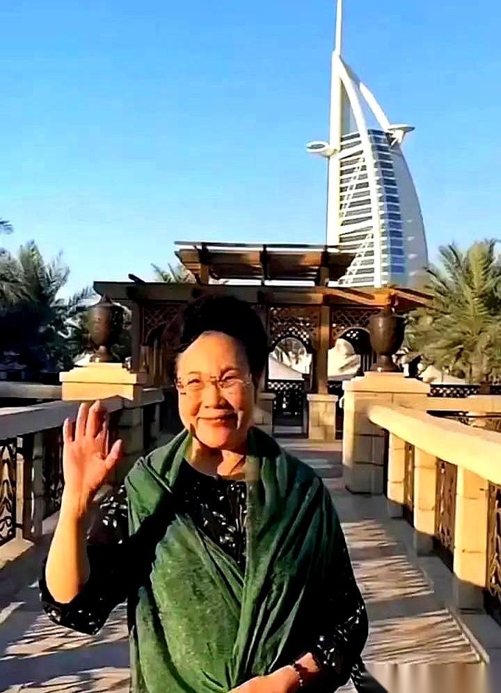 250万。7天，迪拜。秦昊伊能静一家子，花掉了咱们一套房的首付。你是不是眼